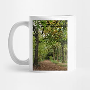 Young couple walk in the woods Mug